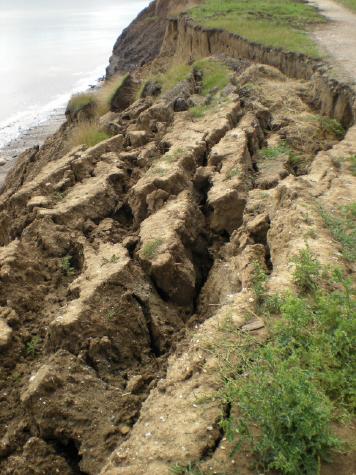  Skipsea south: 5 August 2011 